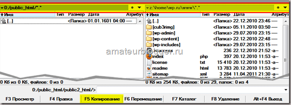 Ви побачите файли свого сайту, який поки знаходиться на вашому комп'ютері на Денвері