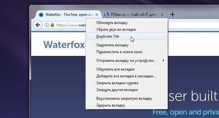 Він є в Waterfox, в сучасному Firefox, але в Firefox Australis його не було: