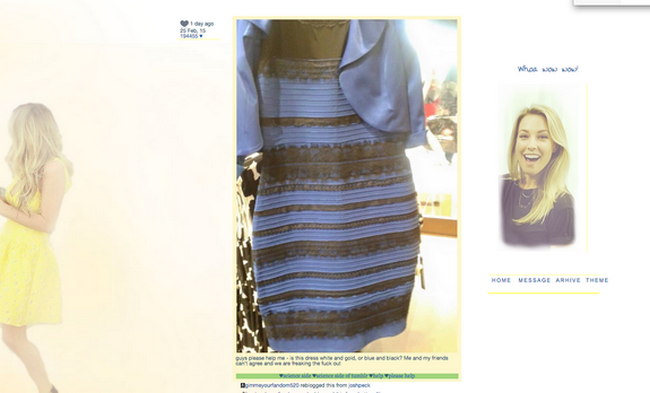 Існує в світі одне унікальне плаття, колір якого став предметом великого спору в англомовному сегменті інтернету